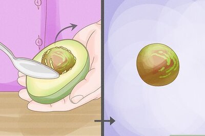 How to Grow and Care for an Avocado Tree