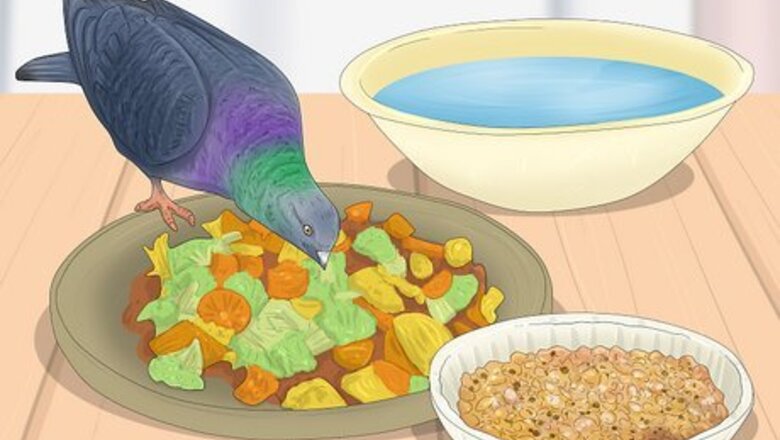 How to Know if Doves Are Right for You