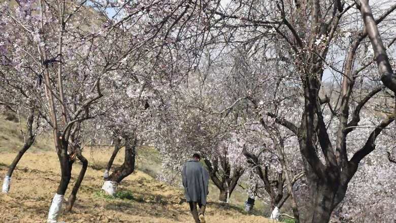 J&K Admin Decides to Reopen Parks, Gardens amid Covid-19 Pandemic