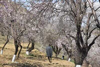 J&K Admin Decides to Reopen Parks, Gardens amid Covid-19 Pandemic