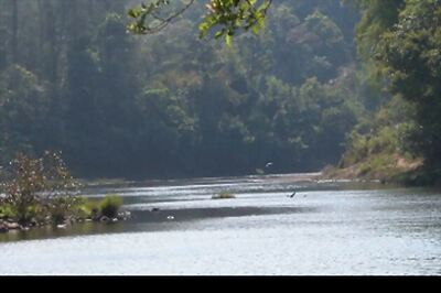 Kerala: Western Ghats report leads to LDF-UDF battle