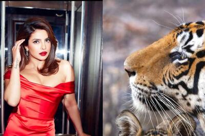 Priyanka Chopra 'Had So Much' Lending Voice For New Film Tiger; Release Date Out