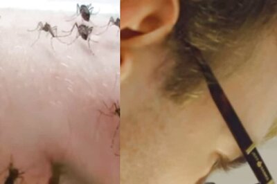 Watch: Biologist Voluntarily Feeds His Blood To Mosquitoes. You Won't Believe Your Eyes