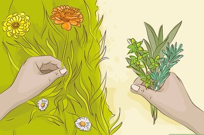 How to Reuse Dead Flowers