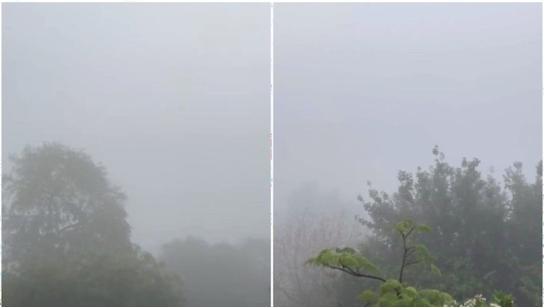 Delhi Rain: Untimely Fog Stuns City, Coldest May Day Recorded Since 1901; More Rainfall Predicted