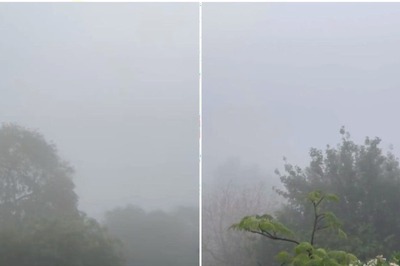 Delhi Rain: Untimely Fog Stuns City, Coldest May Day Recorded Since 1901; More Rainfall Predicted 