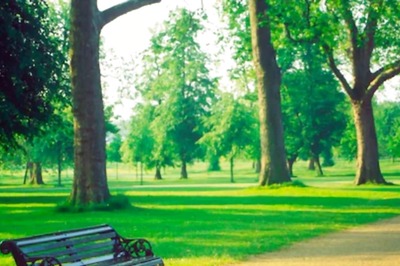 Lovers’ Plaque On UK Park Bench Leaves Internet Teary Eyed