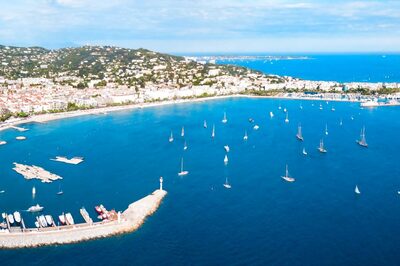 Cannes Film Festival Director May Allow Climate Demonstrations On The Red Carpet