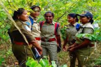 Uttarakhand Forest Development Corporation Announces Vacancies For 200 Scaler Posts