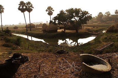 Construct toilet or get divorce, rural woman warns husband