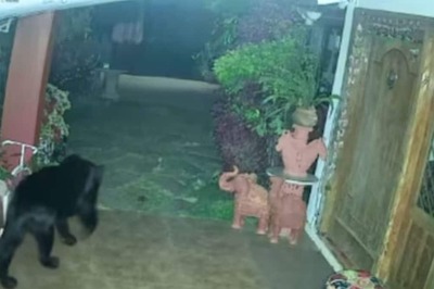 This Video Of Black Panther Roaming Outside A Tamil Nadu House Is Straight Out Of Jungle Book