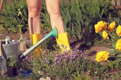 World Naked Gardening Day 2023: All You Need to Know