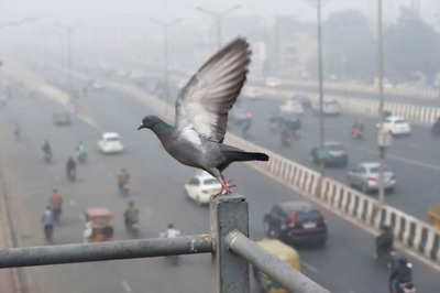 Delhi's Air Quality 'Poor', May Deteriorate Amid Temperature Dip, Change in Wind Direction