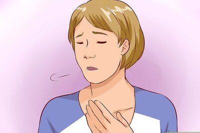 How to Find a Cat That Might Be Hiding