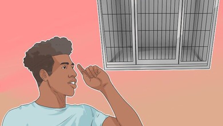 How to Train Shelties