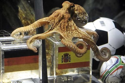 It's official: octopus picks Spain over Germany