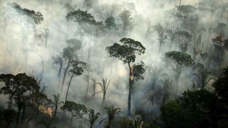 Amazon Indigenous Leaders Accuse Brazil's Bolsonaro of 'Genocide' Policy