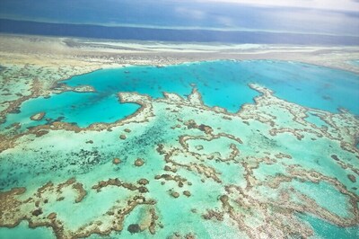 Australia Offering Reward To Help Solve Great Barrier Reef Crisis