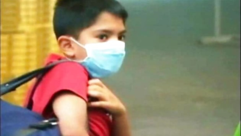 Gujarat High Court: PIL seeks compensation for families of swine flu victims