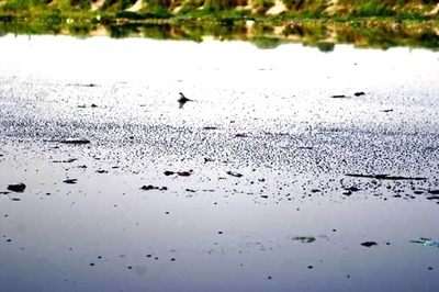 Yamuna Bridge Shuts Temporarily for Rail Traffic as River Crosses Danger Mark