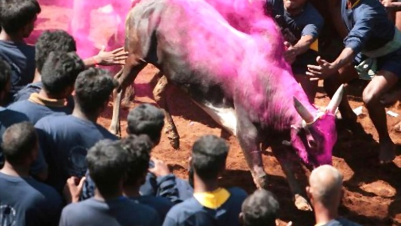 Pondy Assembly Speaker Calls for Conducting Jallikattu