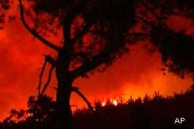 Forest fires may actually cool climate
