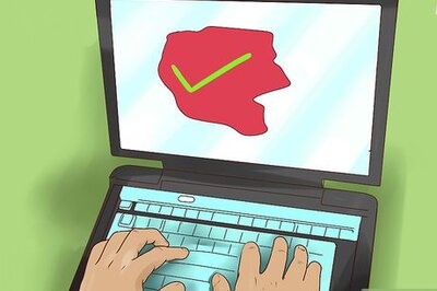 How to Care for a Green Frog