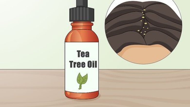How to Use Essential Oils to Prevent an Itchy Scalp