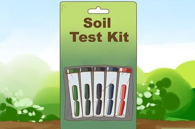 How to Choose Organic Fertilizer