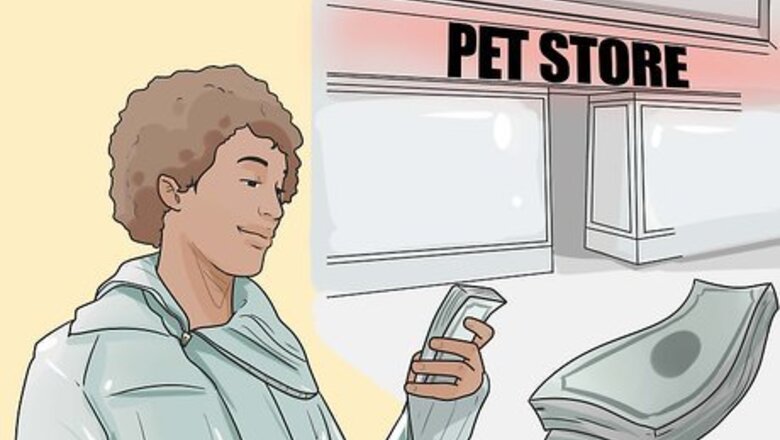 How to Start a Pet Shop