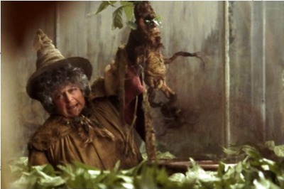 When Queen Elizabeth II Scolded Harry Potter Actor in Buckingham Palace for Being Too Loud