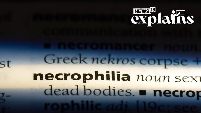 Dignity in Death: What's Necrophilia & Why Has K'taka HC Asked Govt to Make it Criminal Offense?