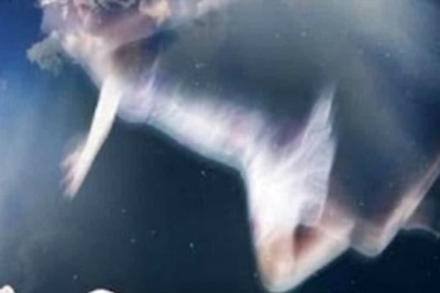 In Bihar, Fake Death Certificate Of 80-year old Woman Issued Due To Property Dispute