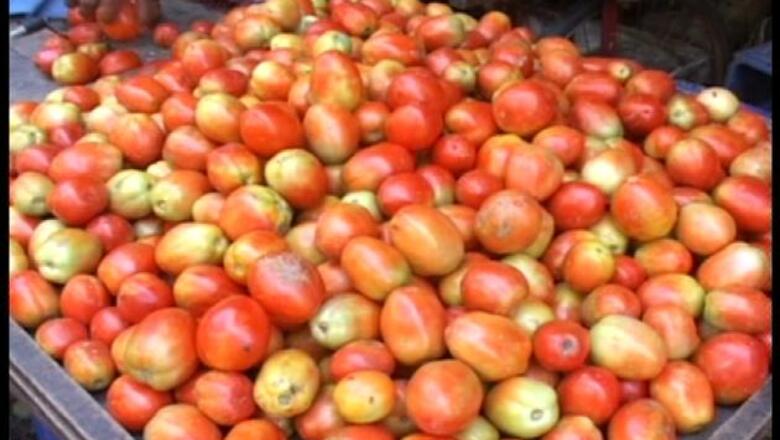Tomato prices shoot up, consumers see red