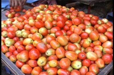 Tomato prices shoot up, consumers see red