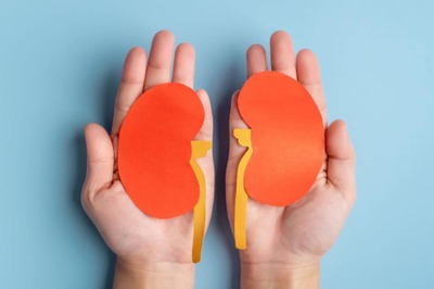 Comprehensive Guide To Kidney Transplantation And Recovery Process Post The Transplant