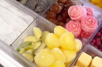 Roses To Teddy Bears, Vlogger's Ice Cube Collection Will Blow Your Mind