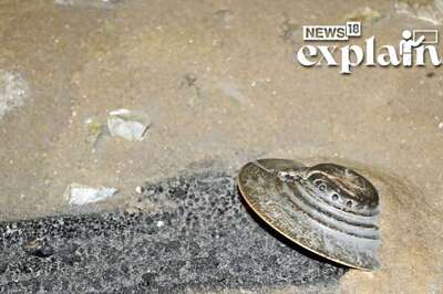 Ex-Intelligence Official Says US Collected UFOs: What are the Claims & Is There Truth to Them?