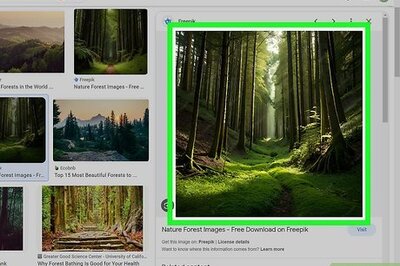 How to Copy and Paste Pictures: Windows, Mac, iPhone, + Android