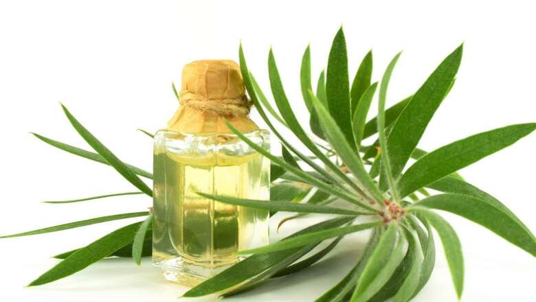 Top 5 Benefits of Using Tea Tree Oil