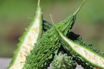 Bitter Gourd Pickle/ Karela Achar Recipe: Why is it Good for Diabetes?