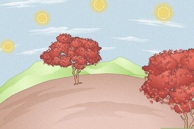 How to Determine Direction Using the Sun