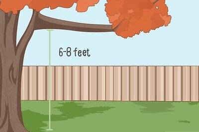 How to Hang a Hammock Chair