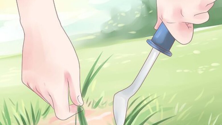 How to Remove Crabgrass from Lawns