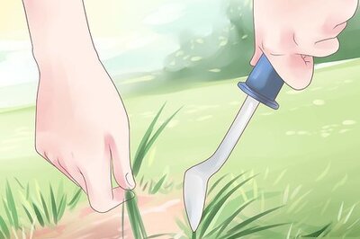 How to Remove Crabgrass from Lawns