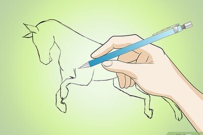 How to Add Details to a Horse Drawing