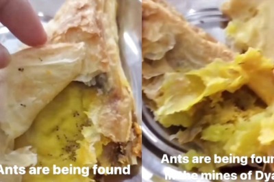 Viral Video From DU Canteen Shows Dead Ants in Samosa, Internet Says 'Chiti Meal'
