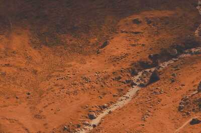 IIT Bombay Graduates Turn Barren Land Into Organic Paradise, Save 80% Water