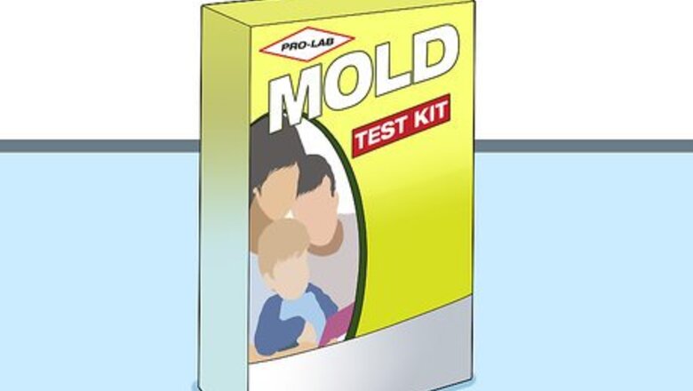 How to Test a Home for Mold