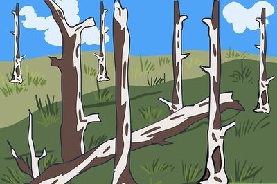 How to Build a Log Bed